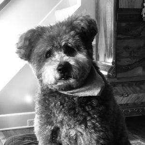 Meet your Posher, Deedee